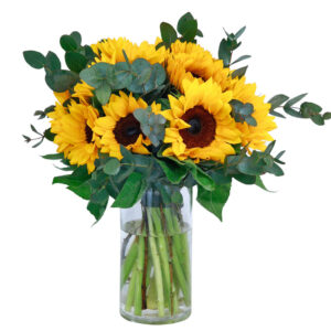 sunflower in vase