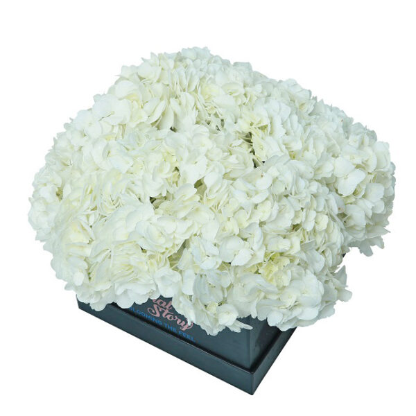 white flowers in black box