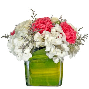 red and white flowers in vase