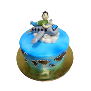 Boy with Aeroplane Cake