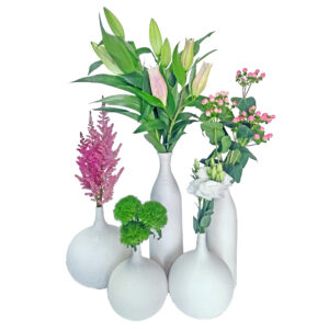 plants