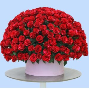 300 roses box