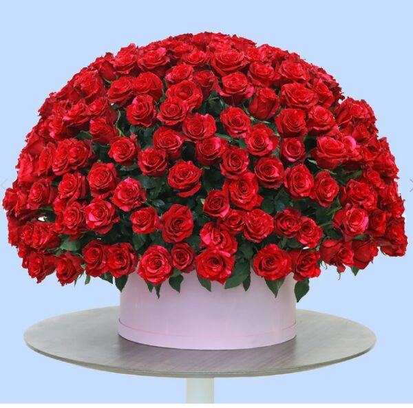 300 roses box