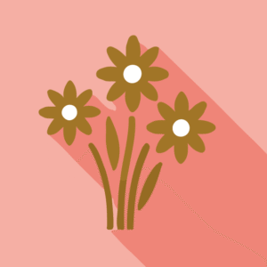 Flowers & Roses Romantic Valentine’s Day